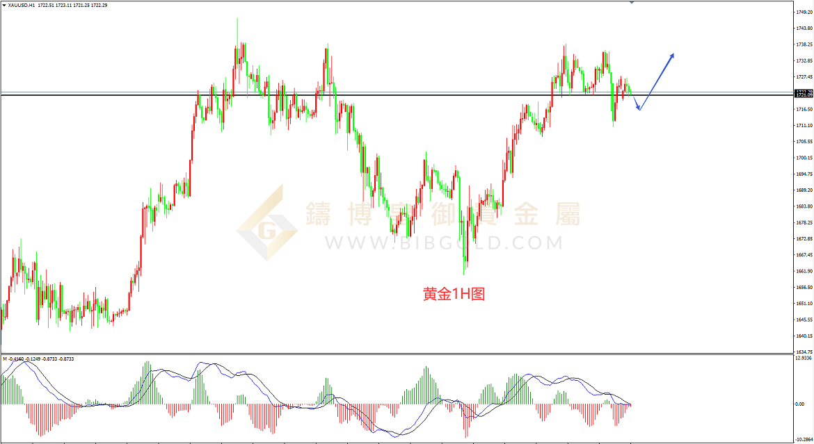 皇御黄金走势图 皇御黄金走势图