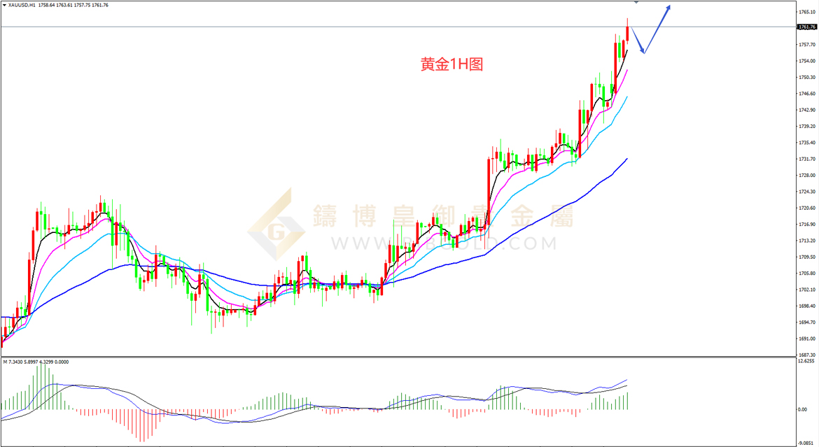 皇御黄金走势图 皇御黄金走势图