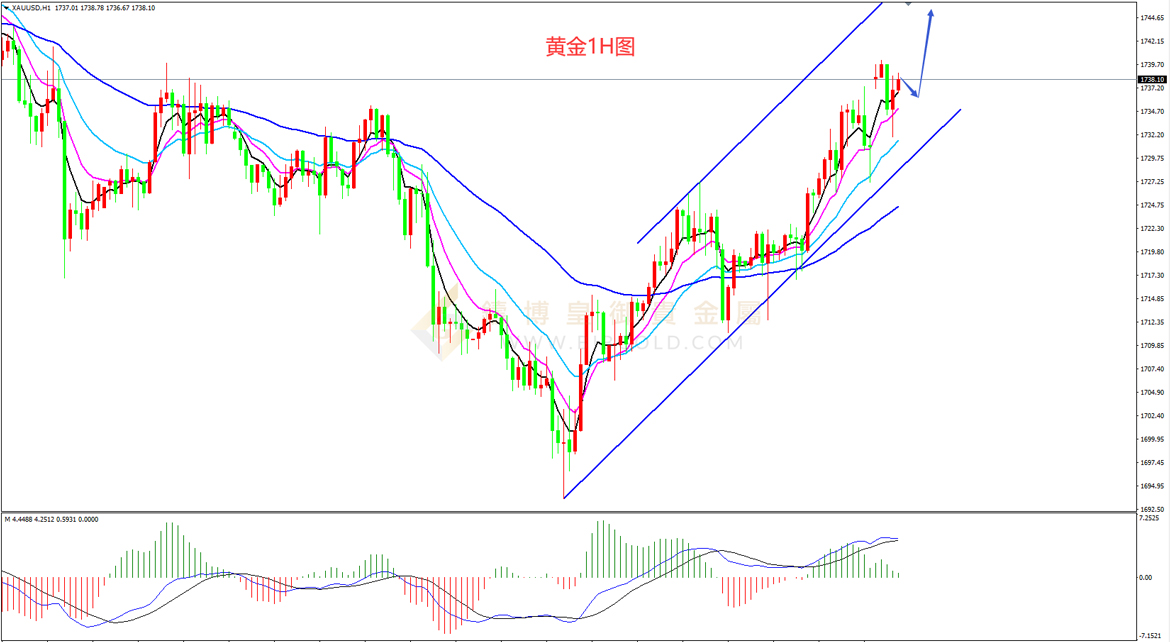 皇御黄金走势图 皇御黄金走势图