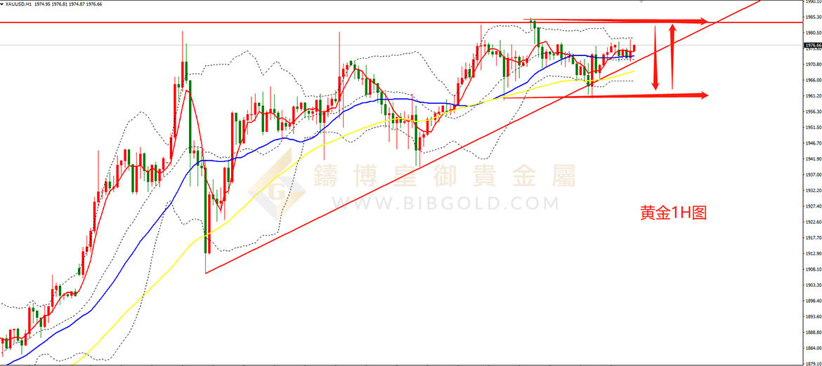 皇御黄金走势图 皇御黄金走势图