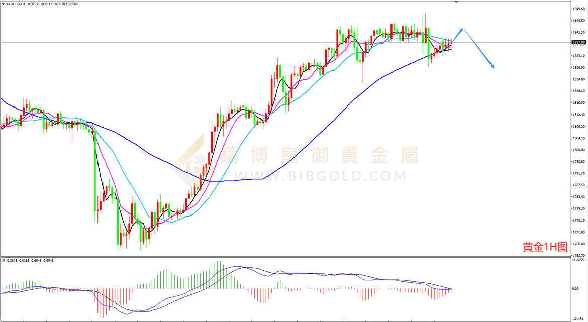 皇御黄金走势图 皇御黄金走势图