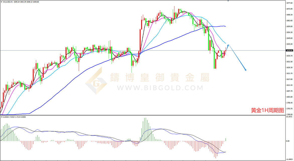 皇御黄金走势图 皇御黄金走势图