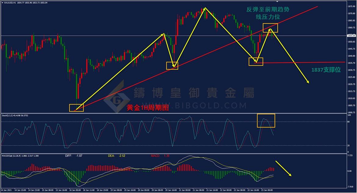 皇御黄金走势图 皇御黄金走势图
