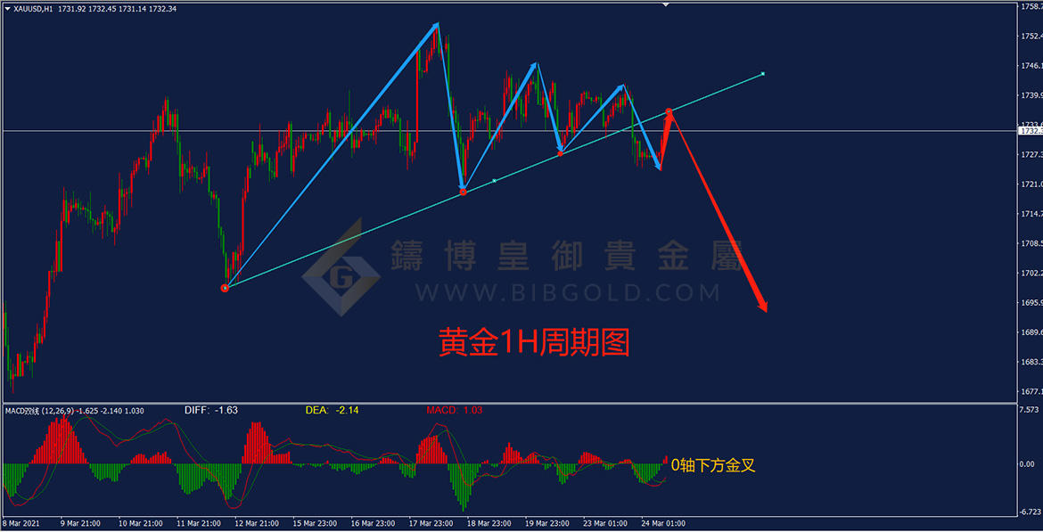 皇御黄金走势图 皇御黄金走势图