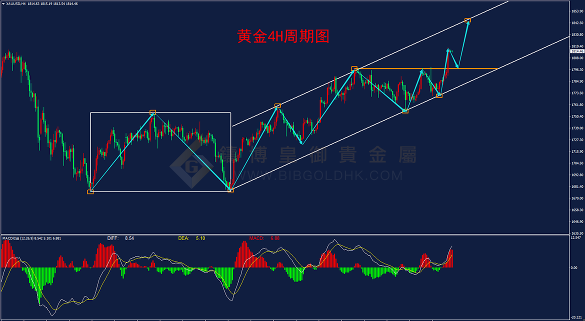 皇御黄金走势图 皇御黄金走势图