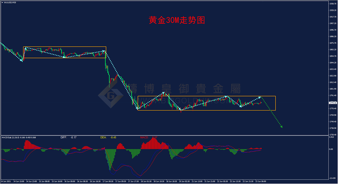 皇御黄金走势图 皇御黄金走势图