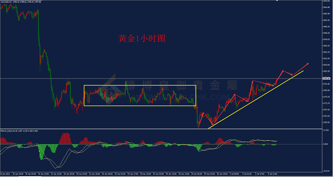 皇御黄金走势图
