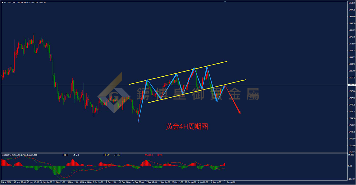 皇御黄金走势图 皇御黄金走势图