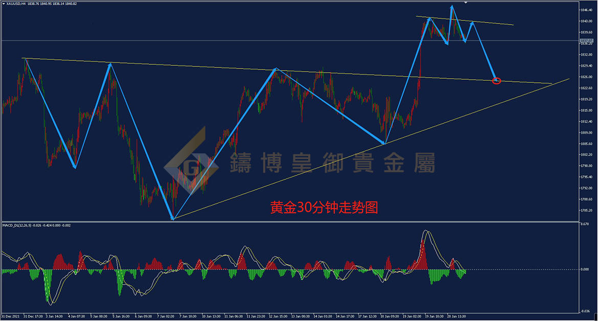 皇御黄金走势图 皇御黄金走势图