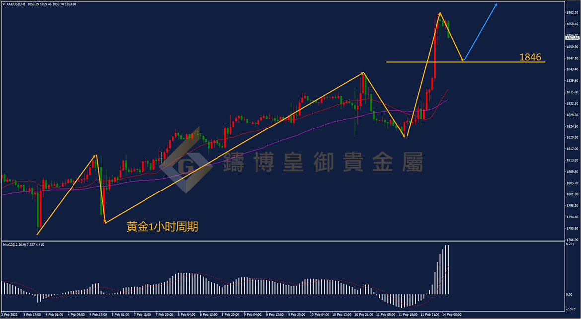 皇御黄金走势图 皇御黄金走势图