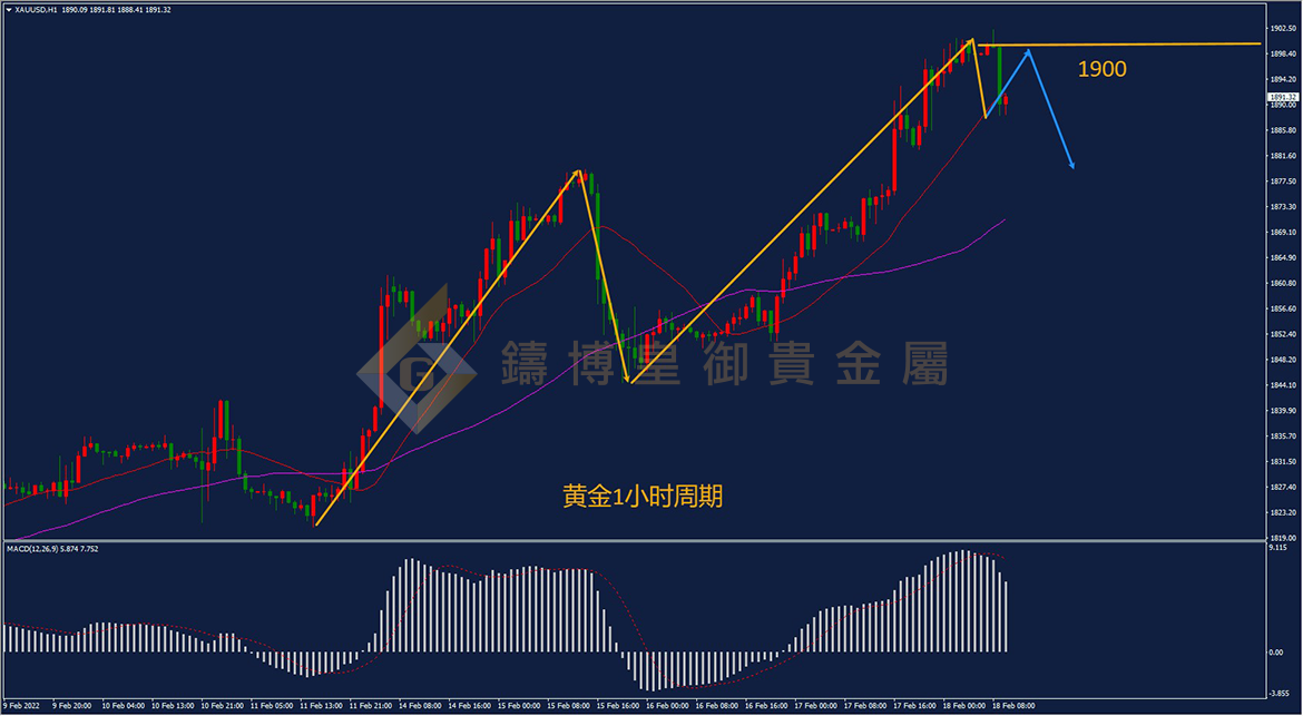 皇御黄金走势图 皇御黄金走势图