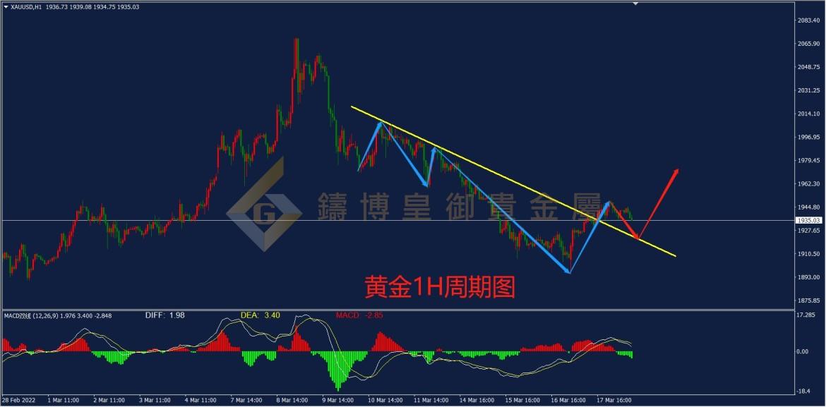 皇御黄金走势图 皇御黄金走势图