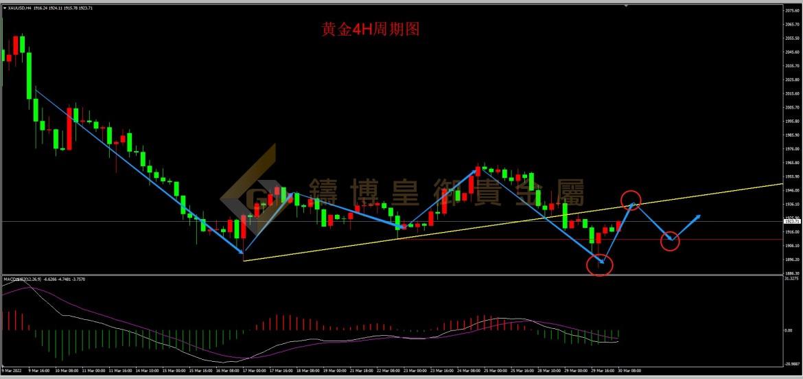 皇御黄金走势图 皇御黄金走势图