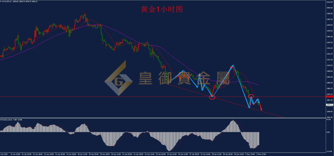 皇御黄金走势图 皇御黄金走势图