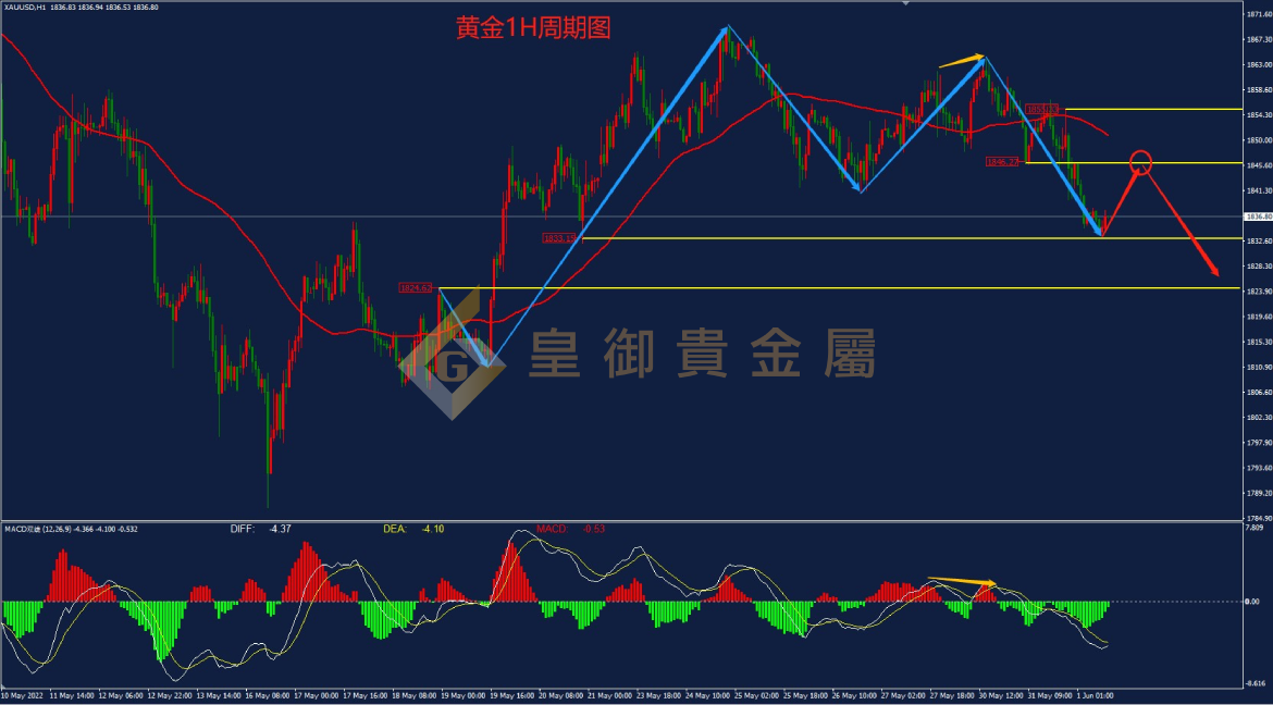 皇御黄金走势图 皇御黄金走势图