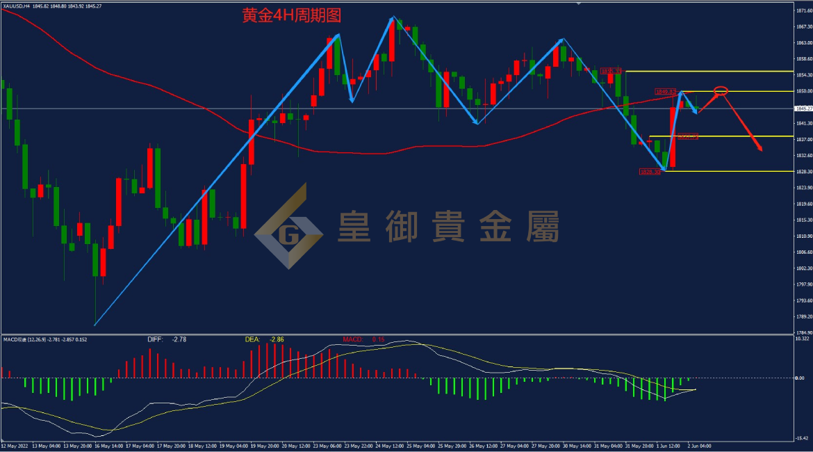 皇御黄金走势图 皇御黄金走势图