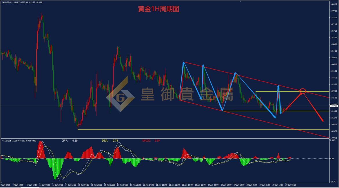 皇御黄金走势图 皇御黄金走势图
