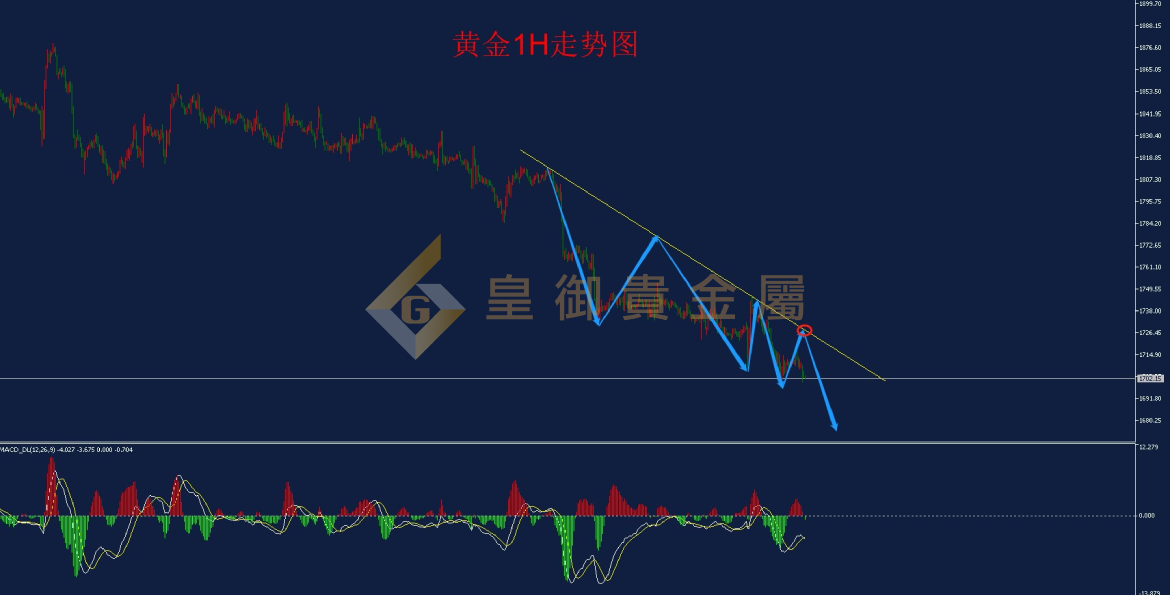皇御黄金走势图 皇御黄金走势图