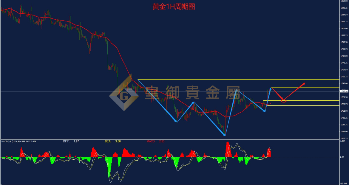 皇御黄金走势图