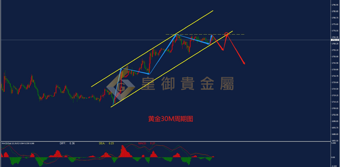 皇御黄金走势图 皇御黄金走势图