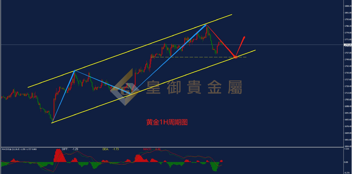 皇御黄金走势图 皇御黄金走势图
