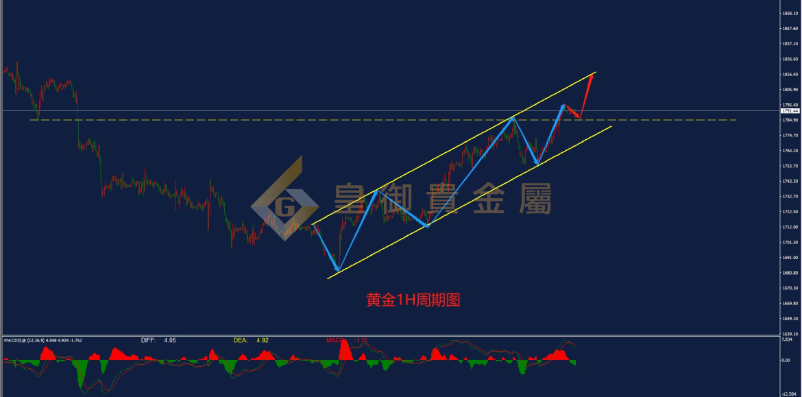 皇御黄金走势图 皇御黄金走势图