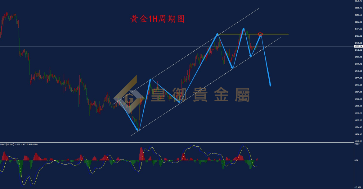 皇御黄金走势图 皇御黄金走势图