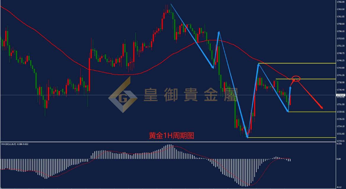 皇御黄金走势图 皇御黄金走势图