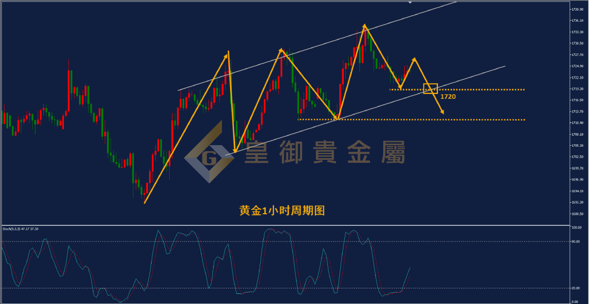 皇御黄金走势图
