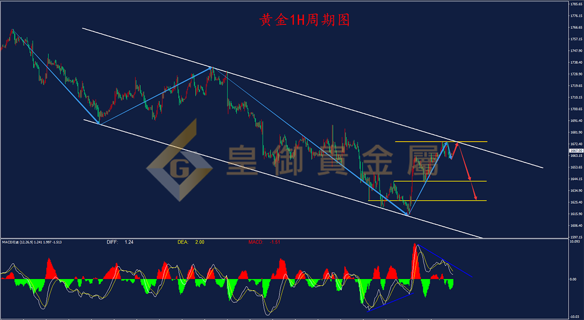 皇御黄金走势图 皇御黄金走势图