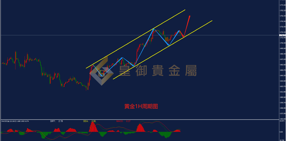 皇御黄金走势图 皇御黄金走势图