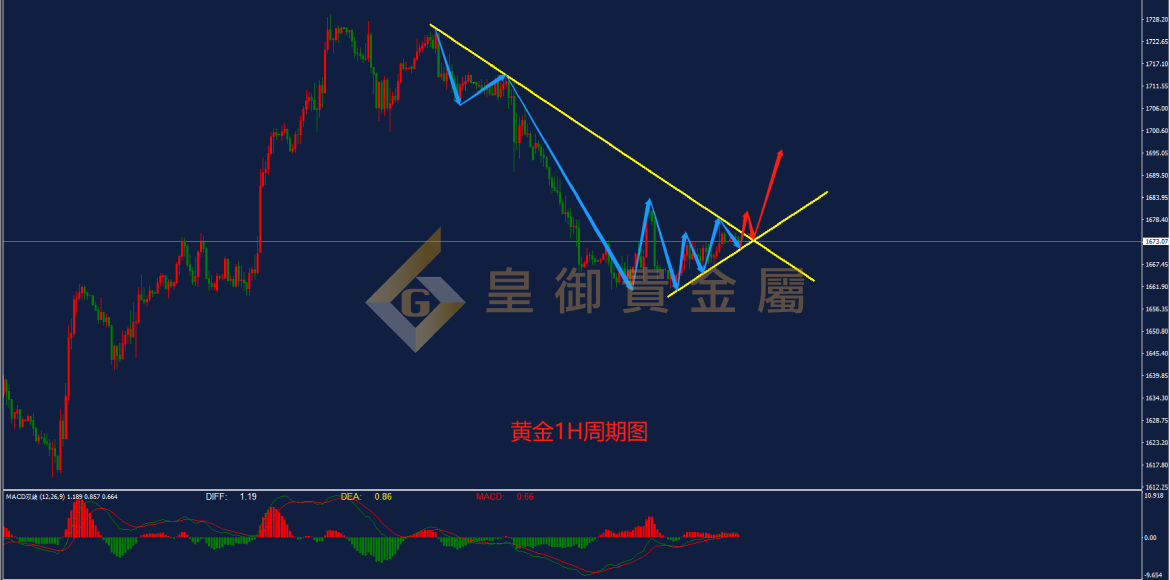皇御黄金走势图 皇御黄金走势图