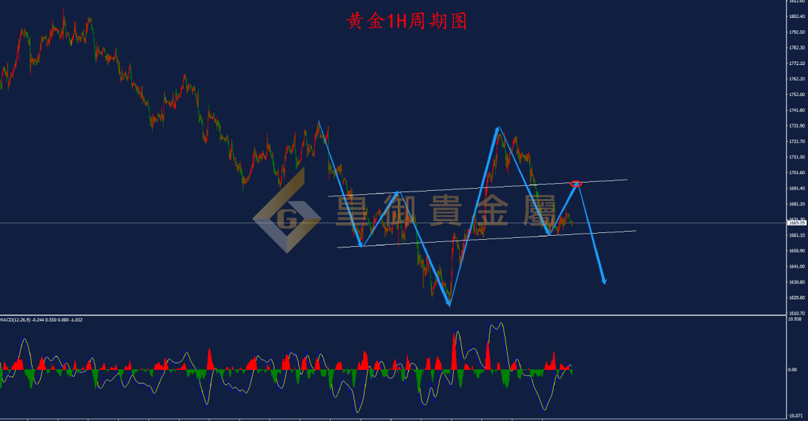 皇御黄金走势图 皇御黄金走势图
