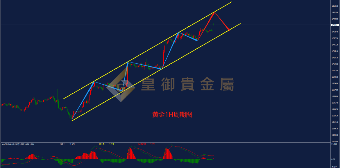 皇御黄金走势图 皇御黄金走势图