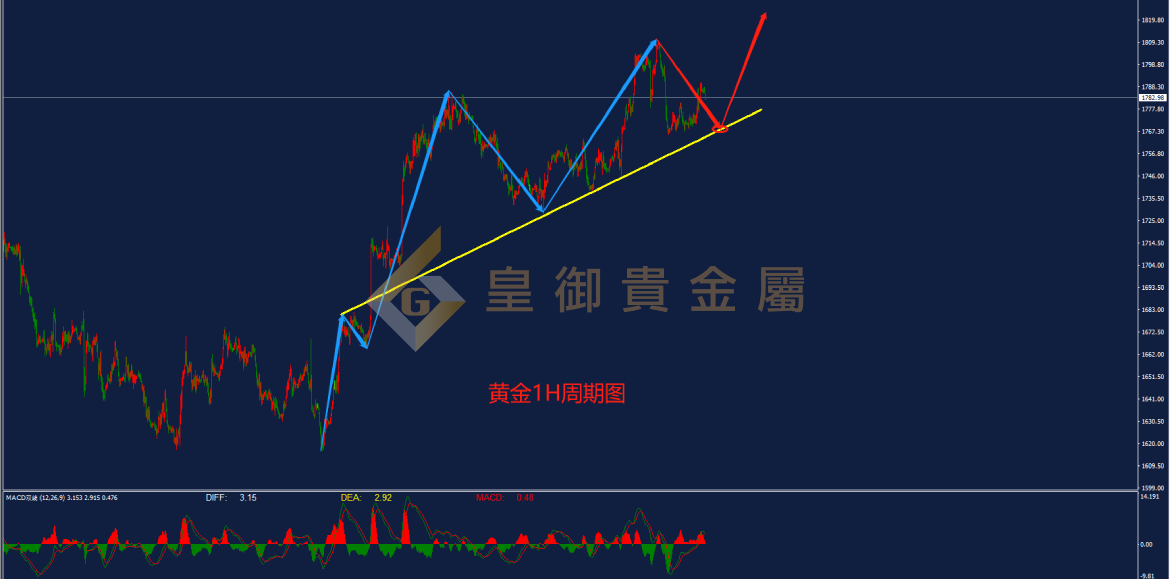 皇御黄金走势图 皇御黄金走势图