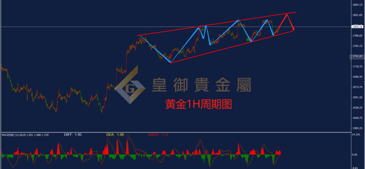 皇御黄金走势图 皇御黄金走势图