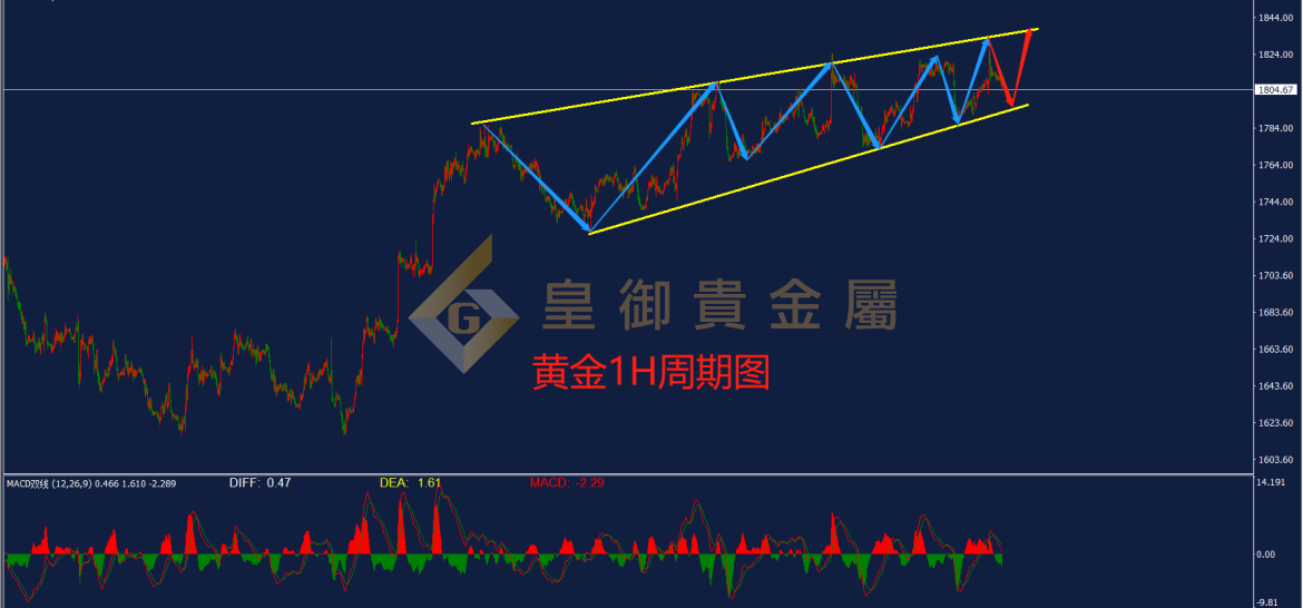 皇御黄金走势图 皇御黄金走势图