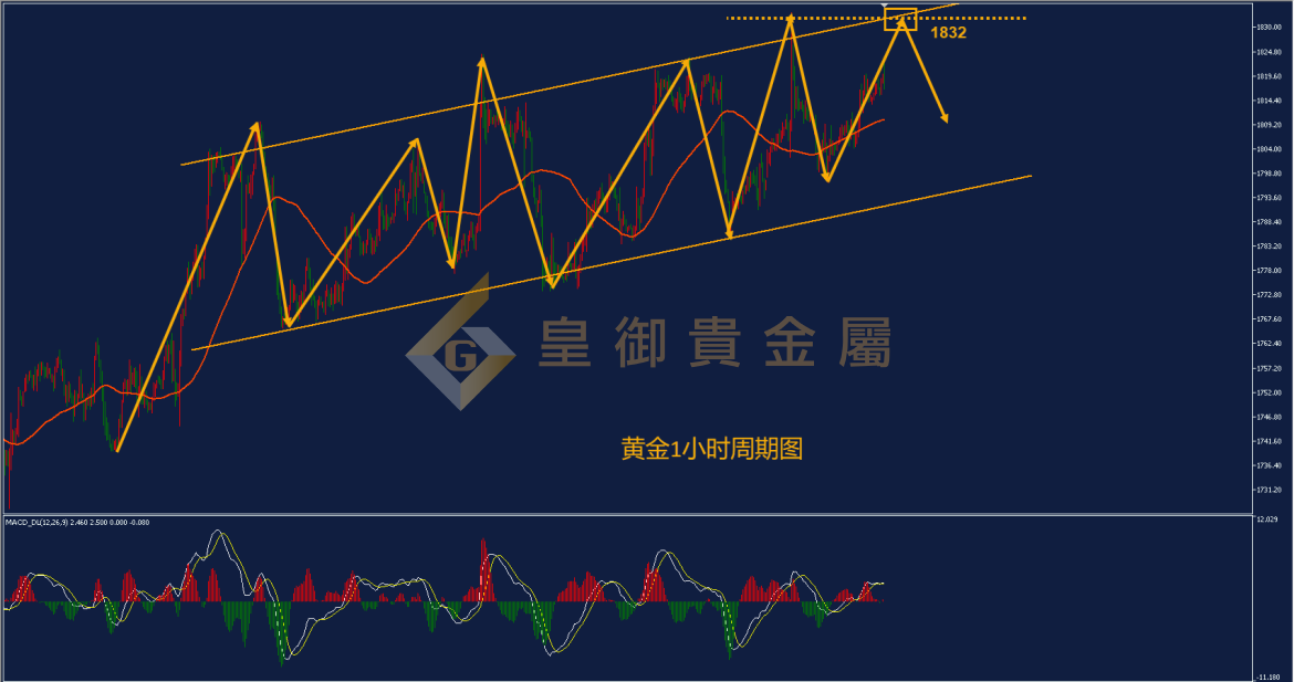 皇御黄金走势图 皇御黄金走势图