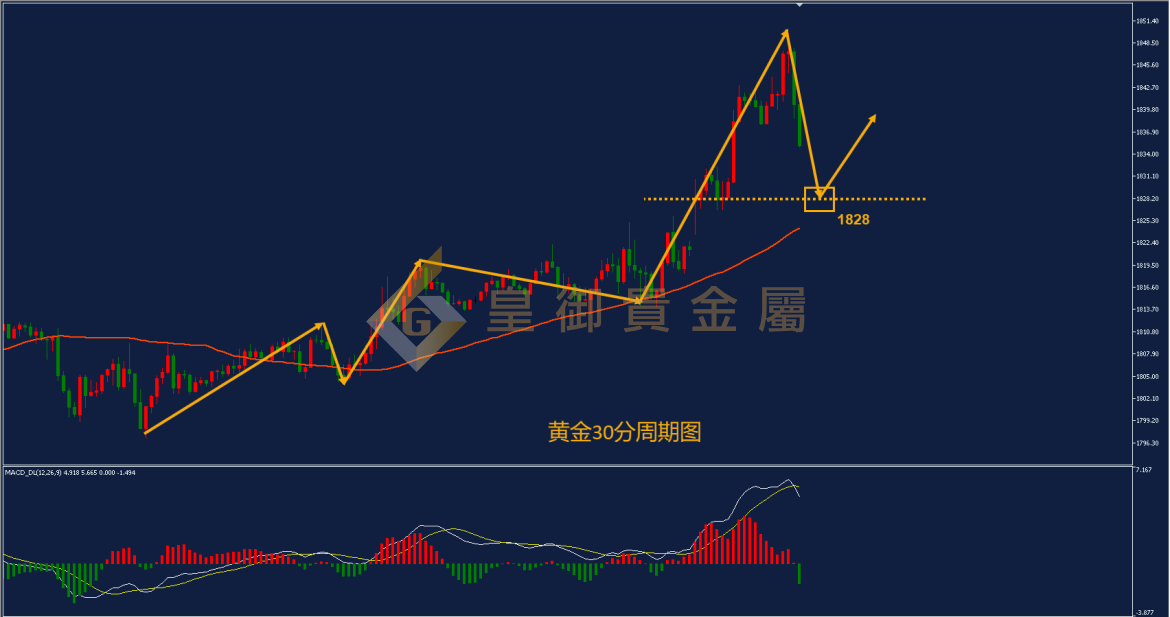 皇御黄金走势图 皇御黄金走势图