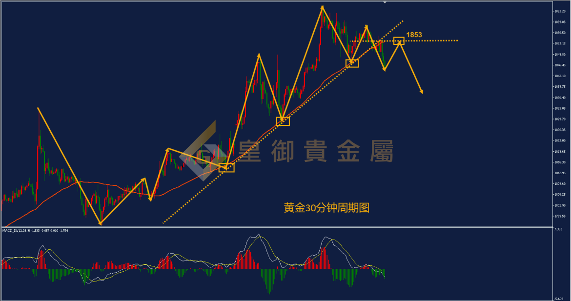 皇御黄金走势图
