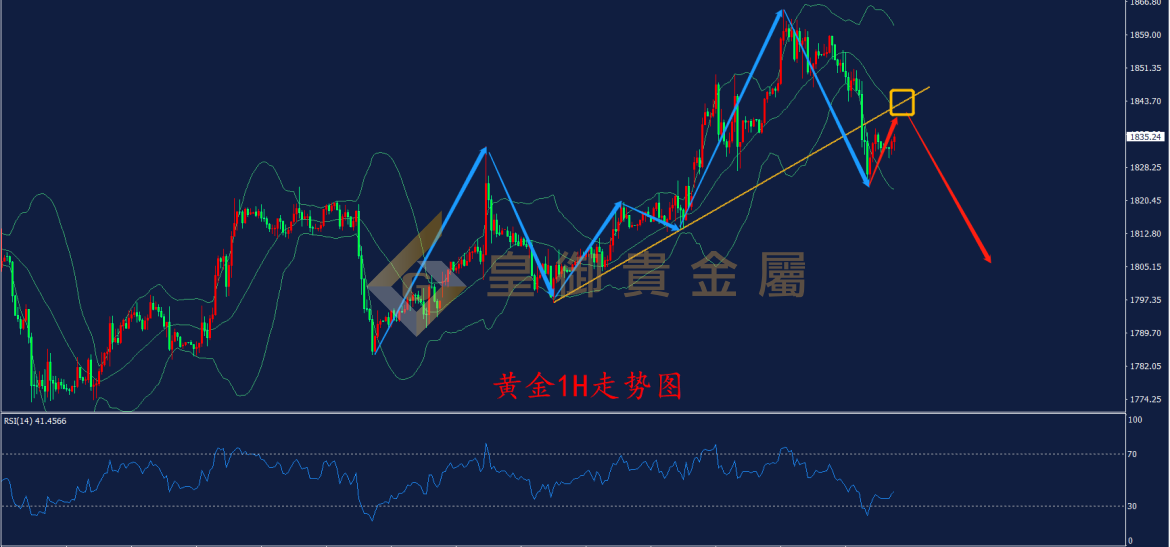 皇御黄金走势图 皇御黄金走势图
