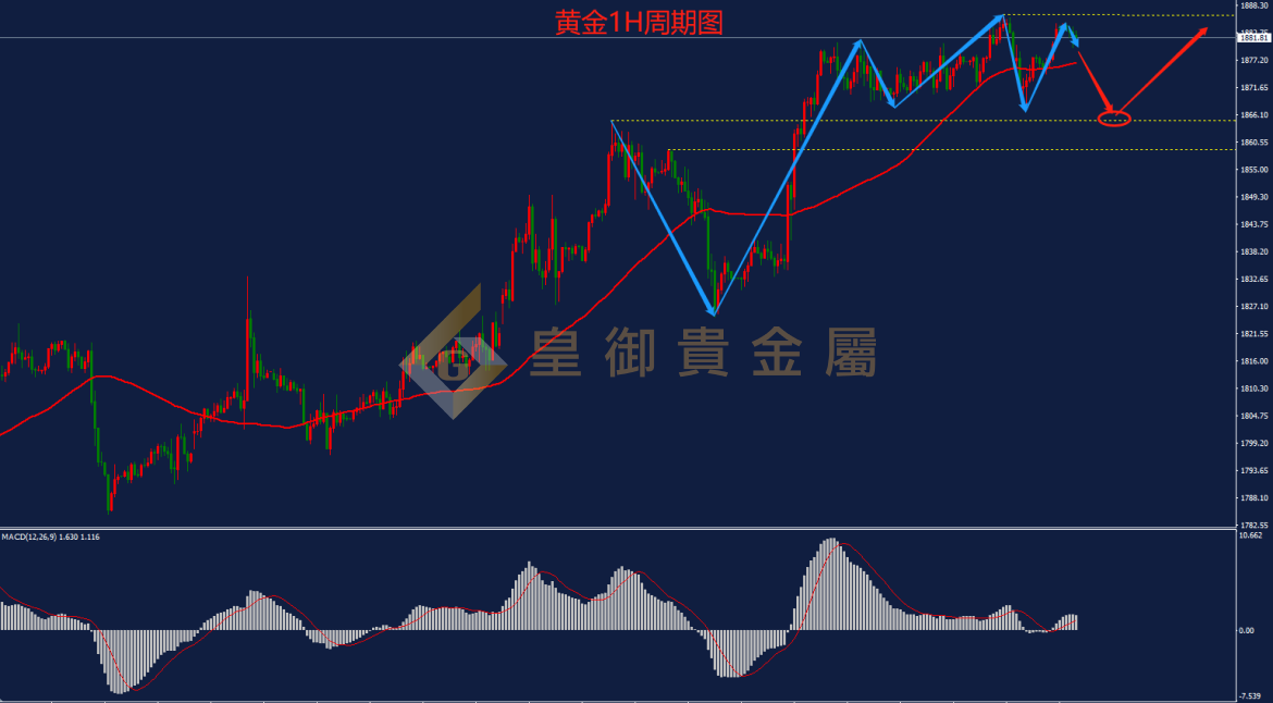 皇御黄金走势图 皇御黄金走势图