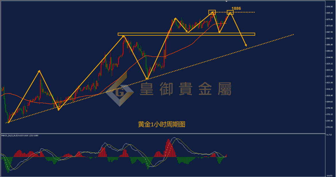 皇御黄金走势图 皇御黄金走势图