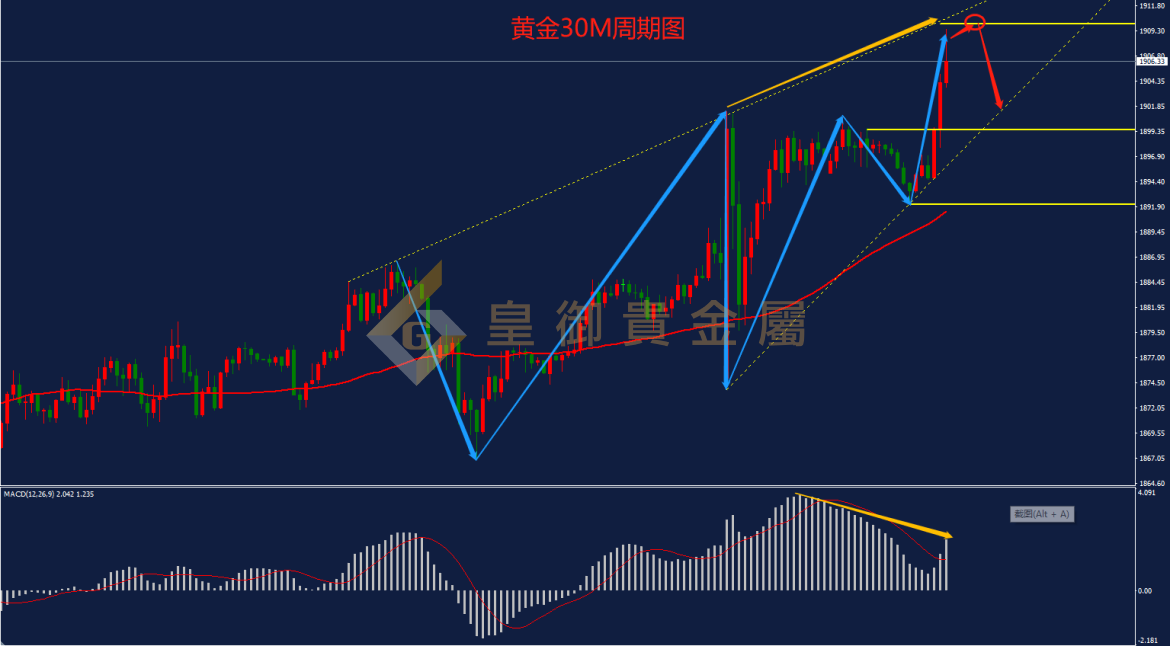 皇御黄金走势图 皇御黄金走势图