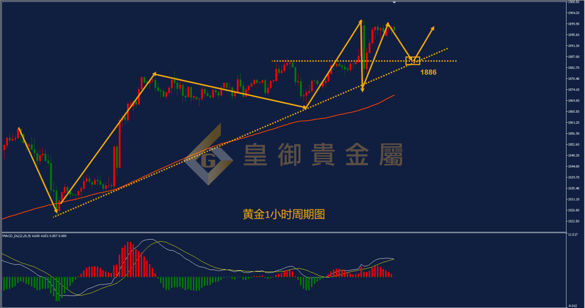 皇御黄金走势图 皇御黄金走势图