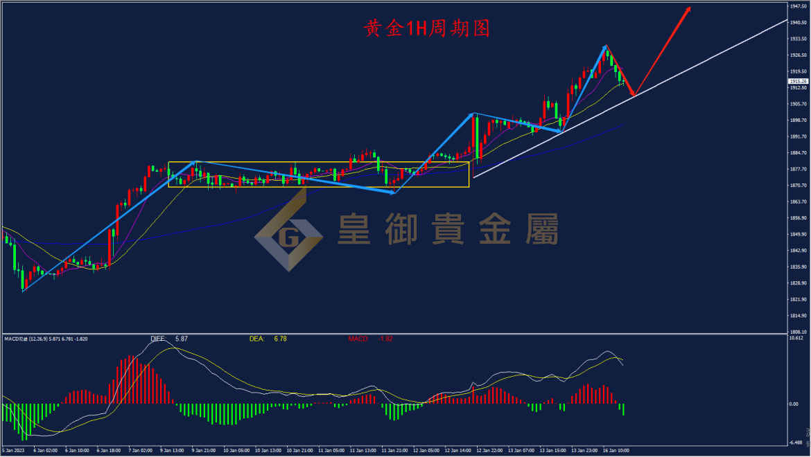 皇御黄金走势图 皇御黄金走势图