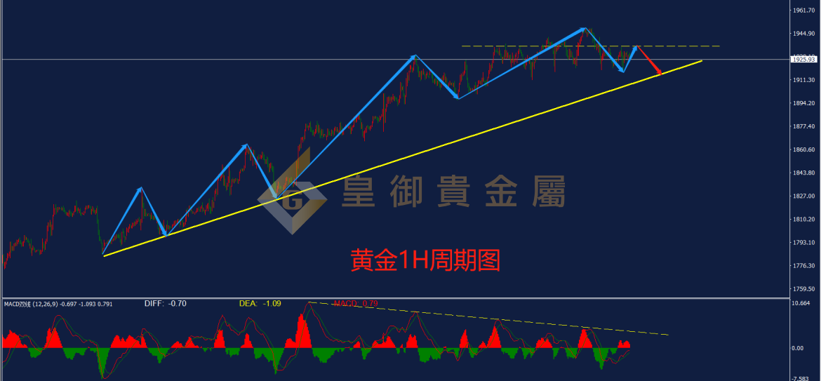 皇御黄金走势图 皇御黄金走势图