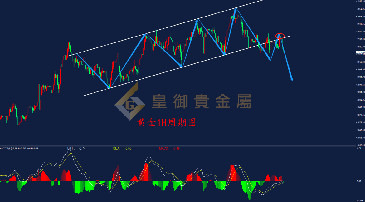 皇御黄金走势图 皇御黄金走势图