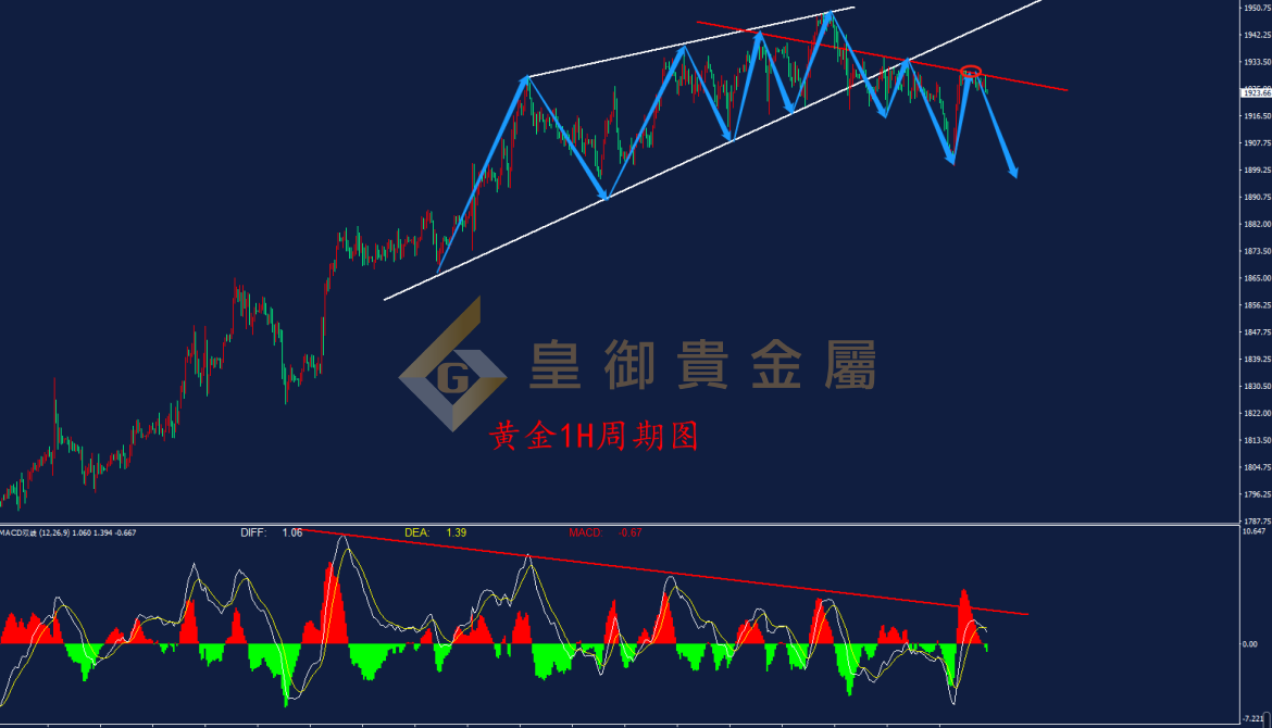 皇御黄金走势图 皇御黄金走势图