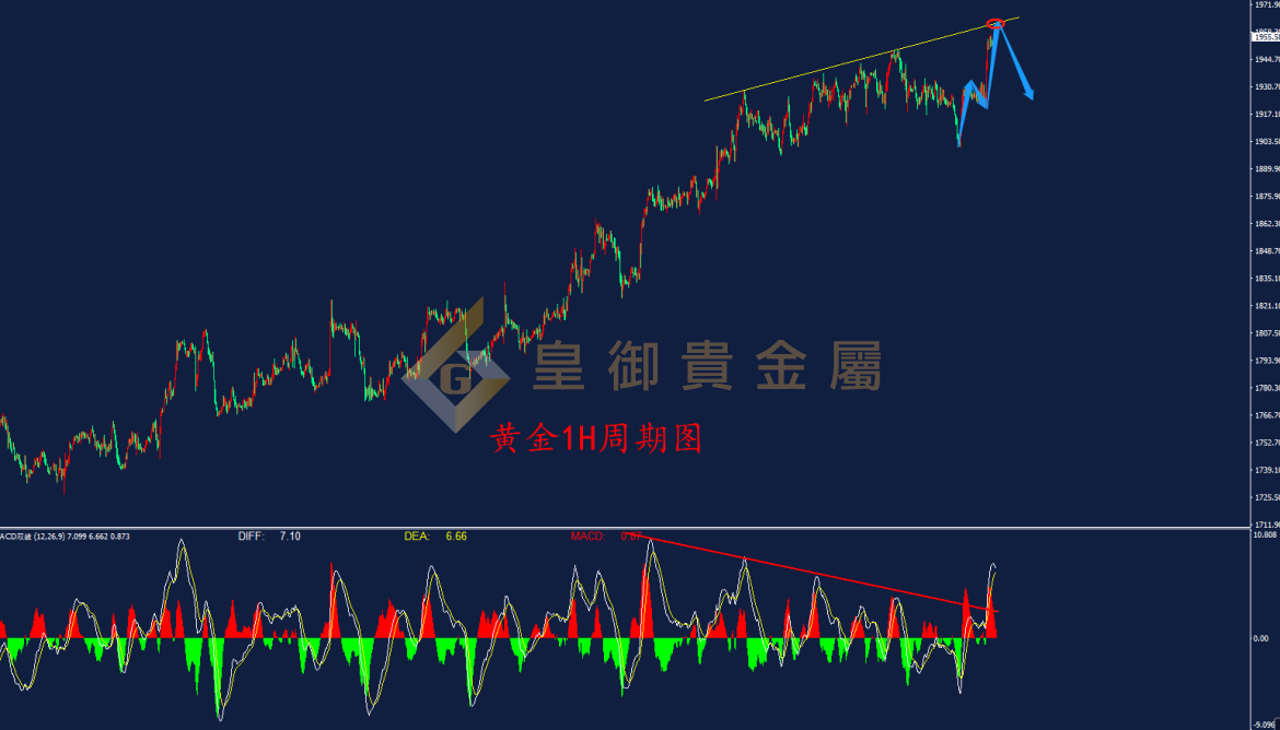 皇御黄金走势图 皇御黄金走势图